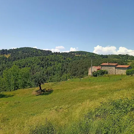 Ecrin De Verdure En Ardeche Verte Colombier-le-Vieux Extérieur photo