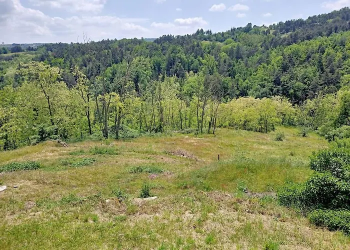 Ecrin De Verdure En Ardeche Verte