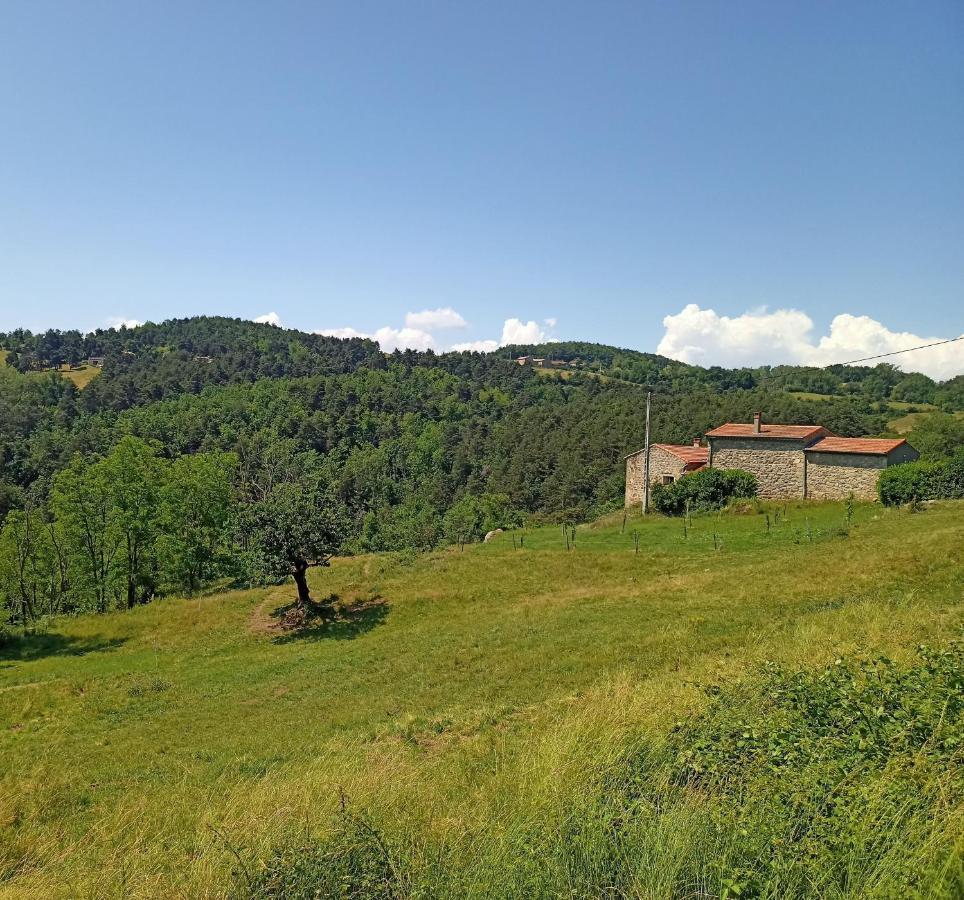 Ecrin De Verdure En Ardeche Verte