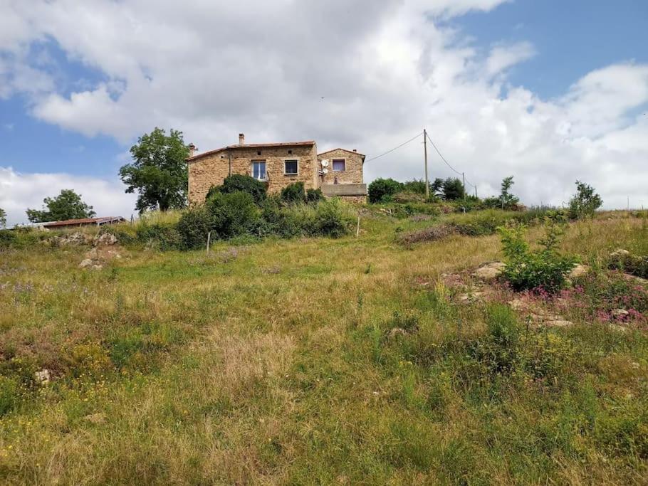 Ecrin De Verdure En Ardeche Verte *