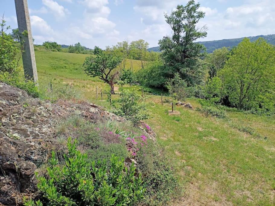 Ecrin De Verdure En Ardeche Verte